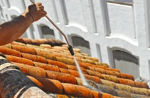 Nettoyage de toitures - Saint-Denis-sur-Sarthon